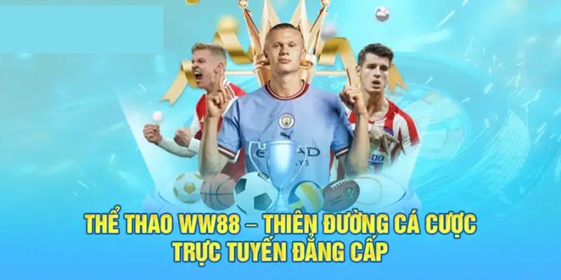 Kinh nghiệm tham gia sảnh thể thao uy tín